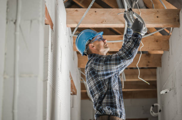 Best Electric Panel Repair  in Royal Kunia, HI